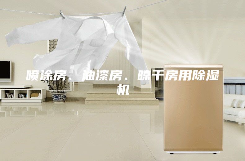 喷涂房、油漆房、晾干房用除湿机