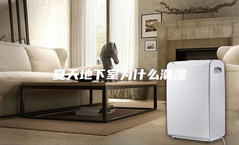 夏天地下室为什么潮湿