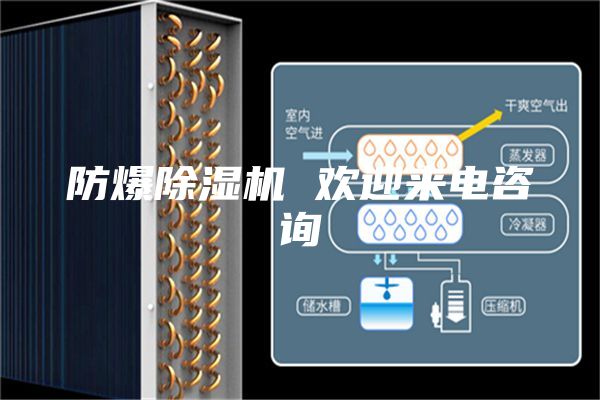 防爆除湿机 欢迎来电咨询