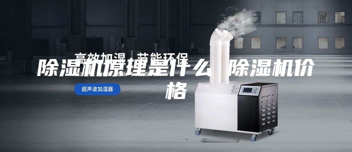 除湿机原理是什么 除湿机价格