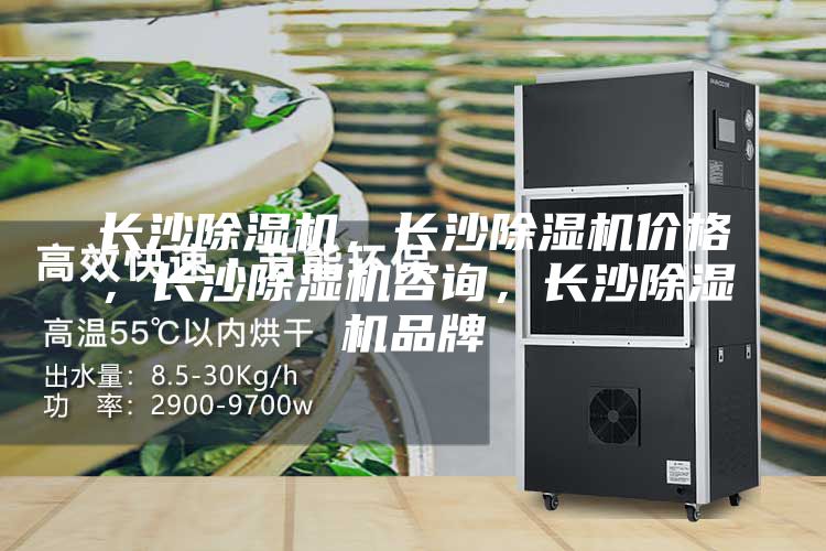 长沙除湿机，长沙除湿机价格，长沙除湿机咨询，长沙除湿机品牌