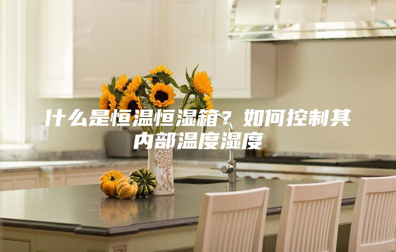什么是恒温恒湿箱？如何控制其内部温度湿度