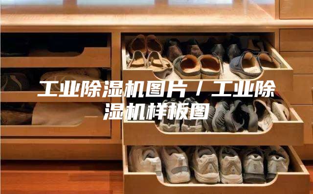 工业除湿机图片／工业除湿机样板图