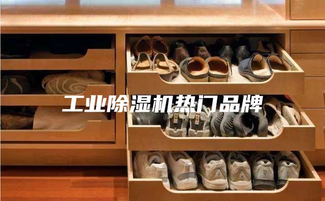 工业除湿机热门品牌