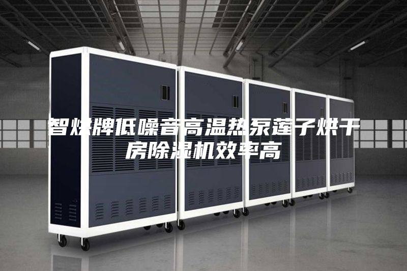 智烘牌低噪音高温热泵莲子烘干房除湿机效率高
