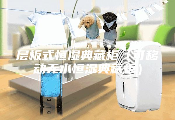 层板式恒湿典藏柜（可移动无水恒湿典藏柜）
