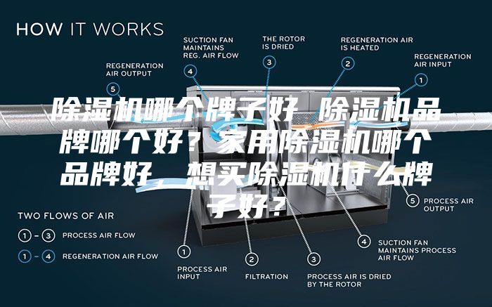 除湿机哪个牌子好 除湿机品牌哪个好？家用除湿机哪个品牌好，想买除湿机什么牌子好？
