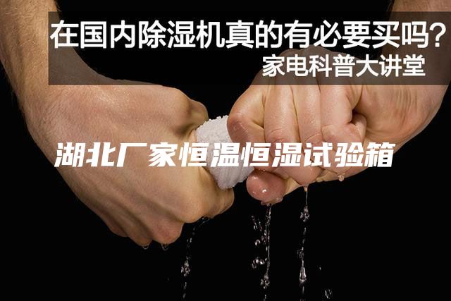 湖北厂家恒温恒湿试验箱