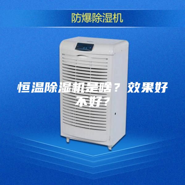 恒温除湿机是啥？效果好不好？