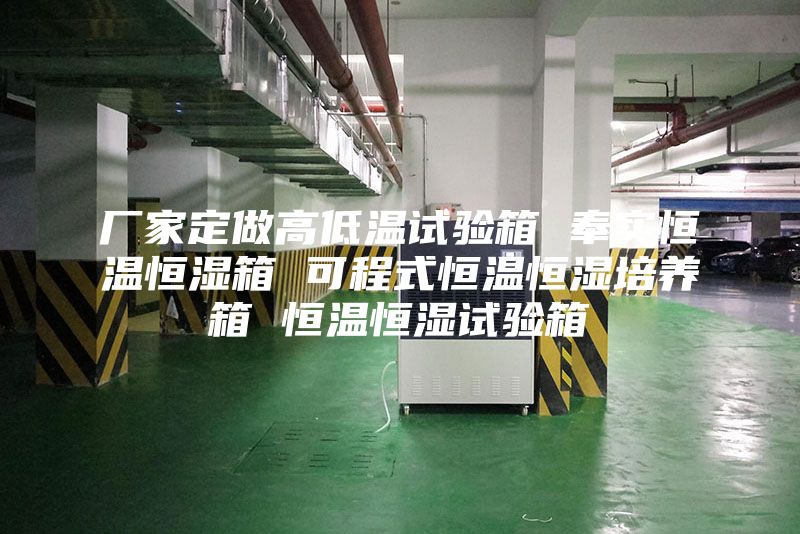 厂家定做高低温试验箱 奉实恒温恒湿箱 可程式恒温恒湿培养箱 恒温恒湿试验箱