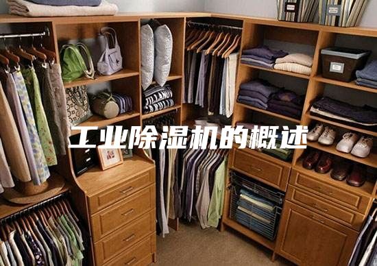 工业除湿机的概述