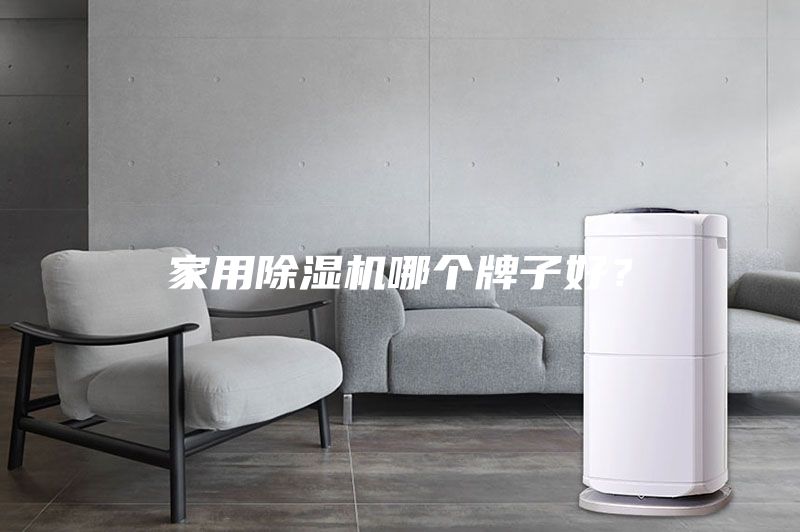家用除湿机哪个牌子好？