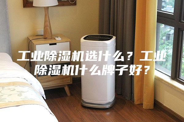 工业除湿机选什么？工业除湿机什么牌子好？