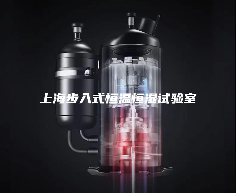 上海步入式恒温恒湿试验室