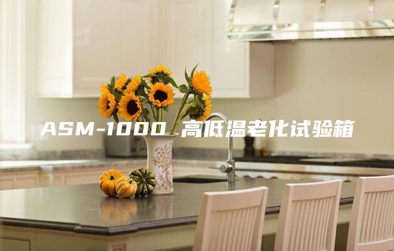 ASM-1000 高低温老化试验箱