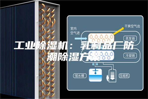 工业除湿机：乳制品厂防潮除湿方案