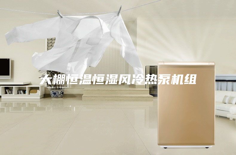 大棚恒温恒湿风冷热泵机组