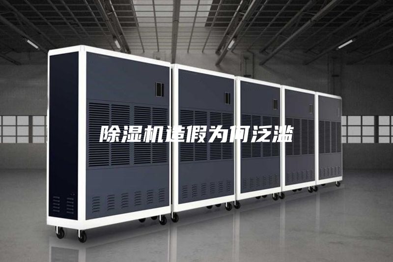 除湿机造假为何泛滥