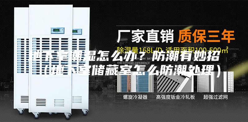 地下室潮湿怎么办？防潮有妙招（地下室储藏室怎么防潮处理）
