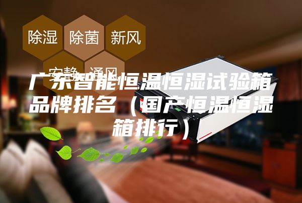 广东智能恒温恒湿试验箱品牌排名（国产恒温恒湿箱排行）