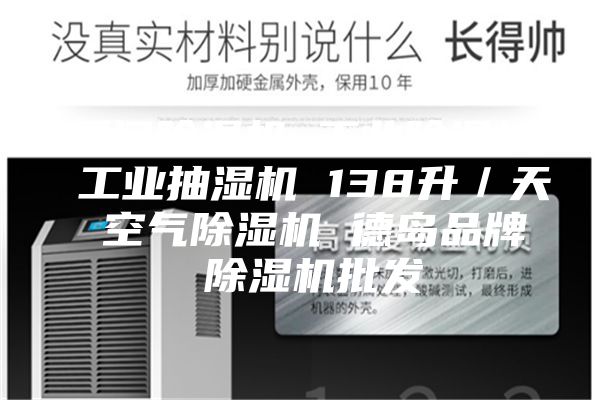 厦门除湿机 工业除湿机 工业抽湿机 138升／天 空气除湿机 德岛品牌 除湿机批发