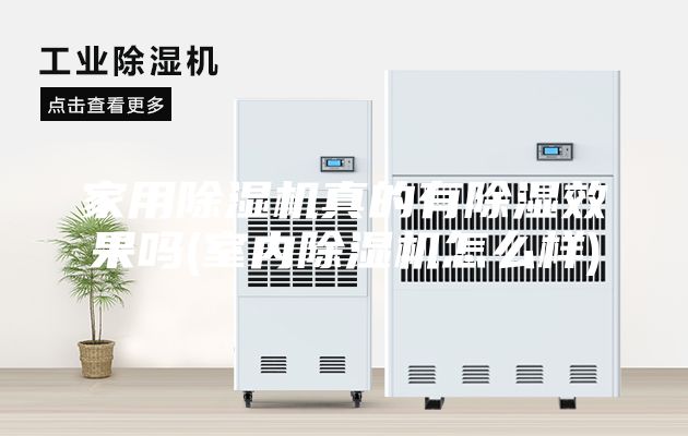 家用除湿机真的有除湿效果吗(室内除湿机怎么样)