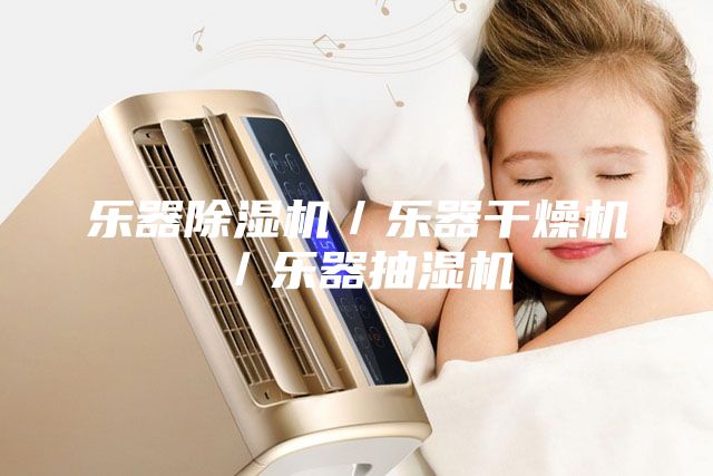乐器除湿机／乐器干燥机／乐器抽湿机