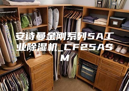 安诗曼金刚系列5A工业除湿机_CF25ASM