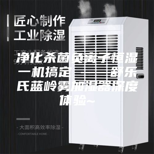 净化杀菌负离子恒湿一机搞定 ——舒乐氏蓝岭雾加湿器深度体验~
