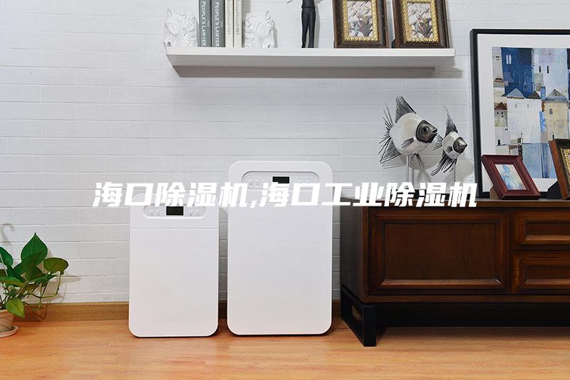 海口除湿机,海口工业除湿机