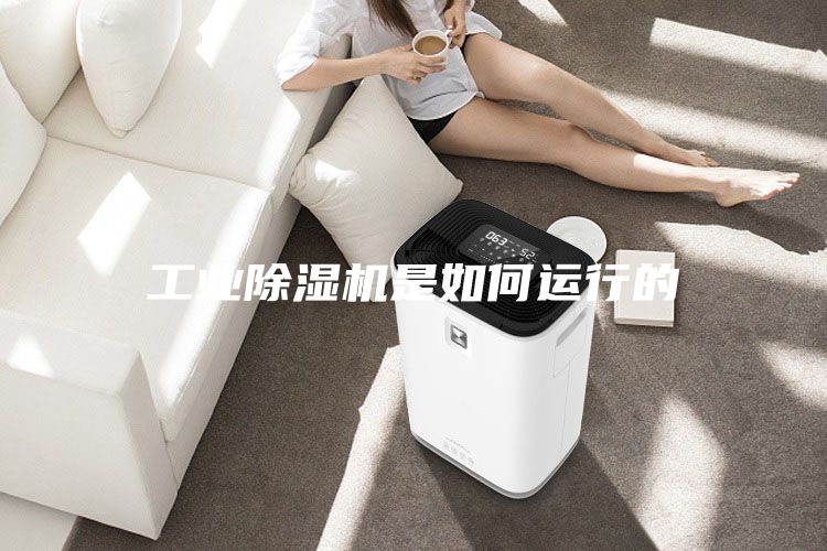 工业除湿机是如何运行的