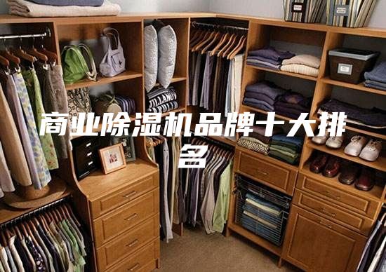 商业除湿机品牌十大排名