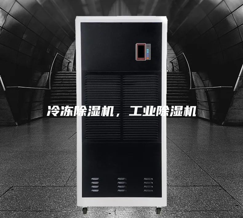 冷冻除湿机，工业除湿机