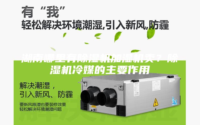 湖南哪里有除湿机加湿机卖？除湿机冷媒的主要作用