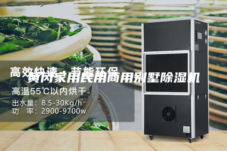 黄冈家用民用商用别墅除湿机