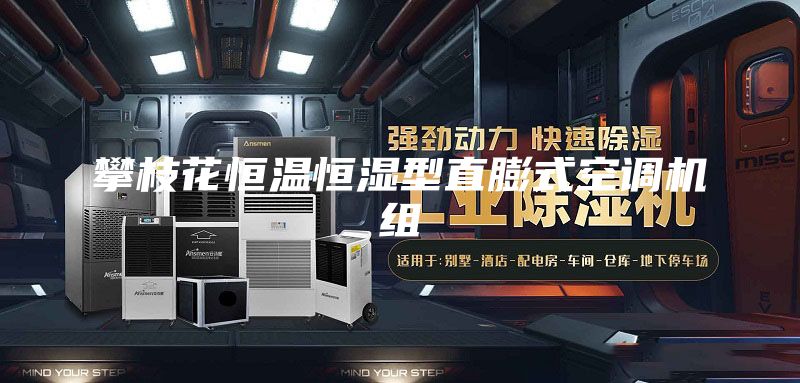 攀枝花恒温恒湿型直膨式空调机组