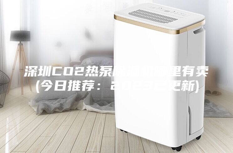 深圳CO2热泵除湿机哪里有卖(今日推荐：2023已更新)