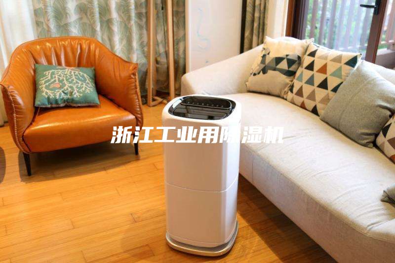 浙江工业用除湿机