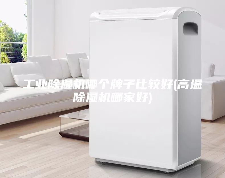 工业除湿机哪个牌子比较好(高温除湿机哪家好)