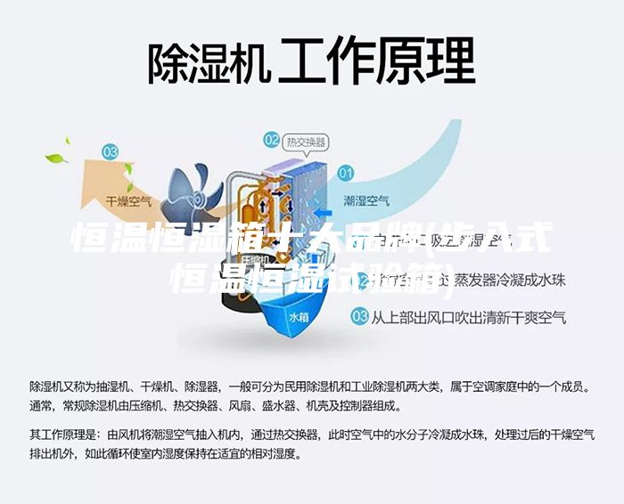 恒温恒湿箱十大品牌(步入式恒温恒湿试验箱)