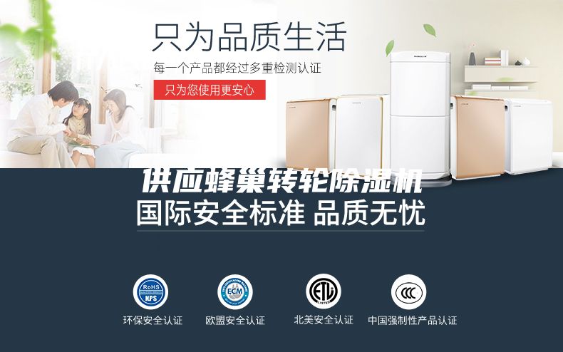 供应蜂巢转轮除湿机