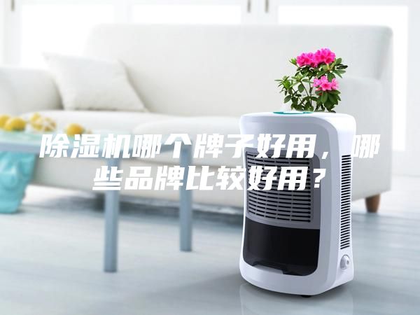 除湿机哪个牌子好用，哪些品牌比较好用？