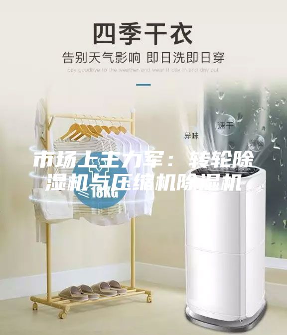市场上主力军：转轮除湿机与压缩机除湿机