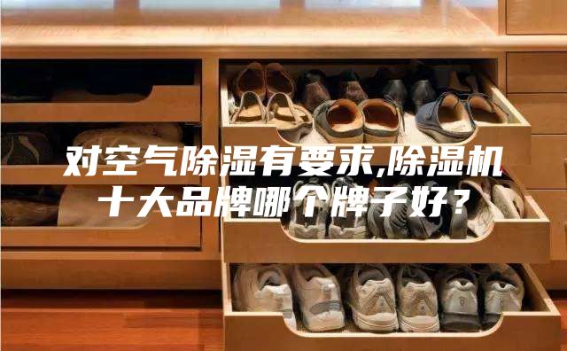 对空气除湿有要求,除湿机十大品牌哪个牌子好？