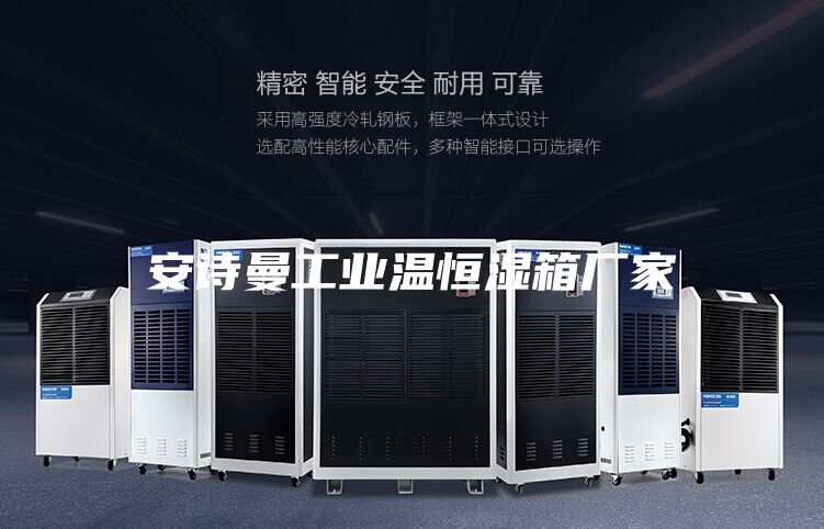 安诗曼工业温恒湿箱厂家