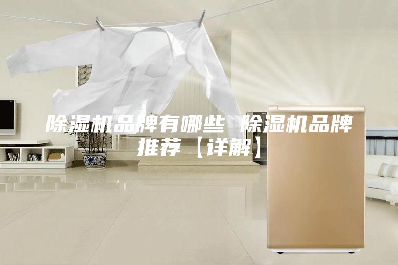 除湿机品牌有哪些 除湿机品牌推荐【详解】
