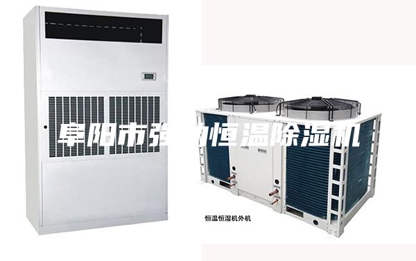 阜阳市强劲恒温除湿机
