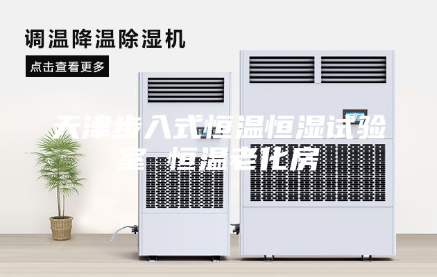 天津步入式恒温恒湿试验室 恒温老化房