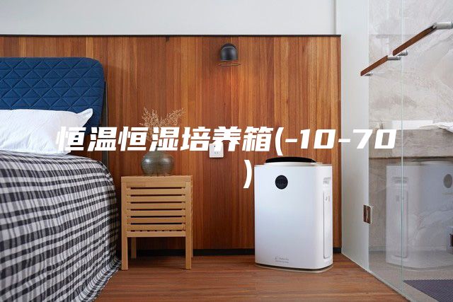 恒温恒湿培养箱(-10-70 ℃）