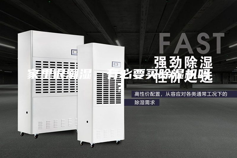 家里很潮湿，有必要买除湿机吗？